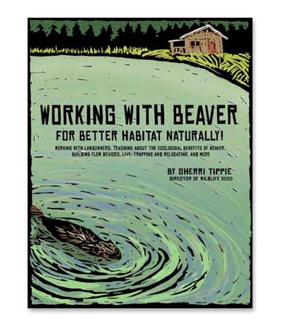 working-with-beaver