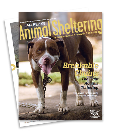 animal-sheltering-magazine-large