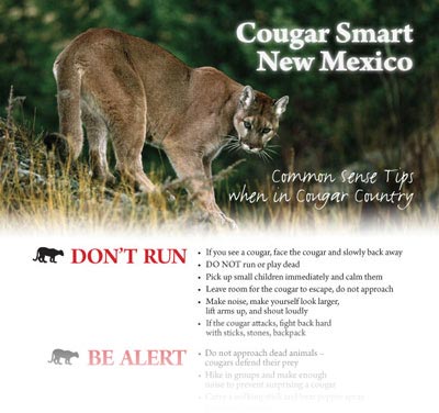 Cougar Smart Flyer 