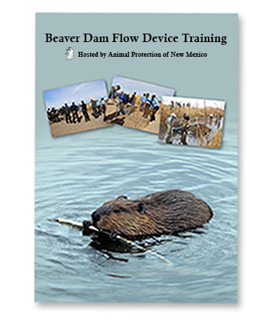 Beaver Dam Flow Device Training Video