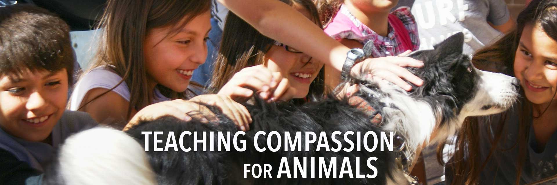 Teaching Compassion for Animals