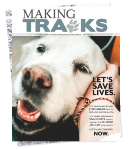 Making Tracks magazine