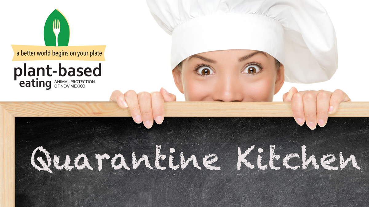 Quarantine Kitchen: Finding Alternatives to Familiar Animal-Based Foods