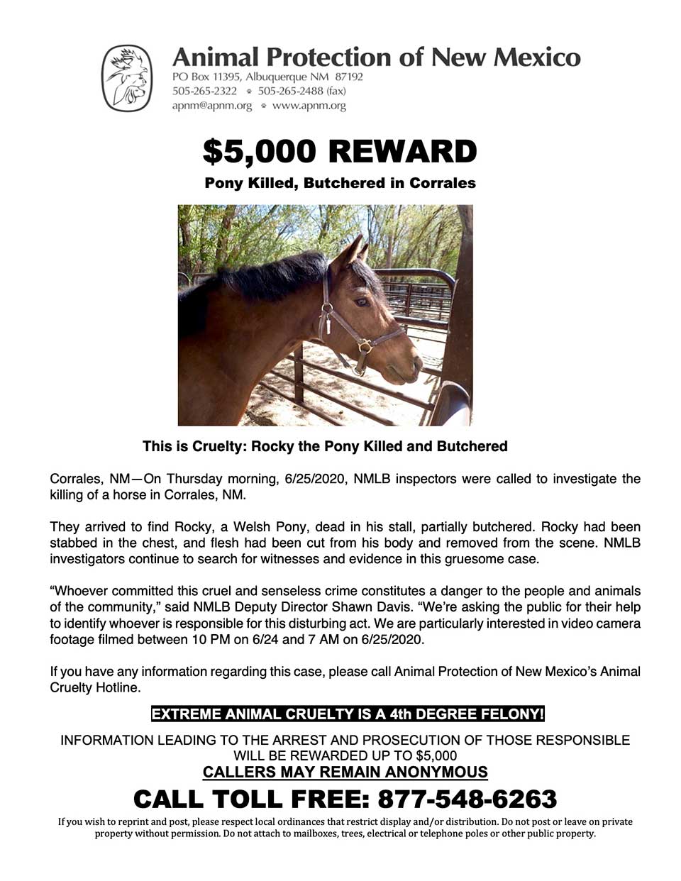 $5,000 REWARD - Pony Killed, Butchered in Corrales