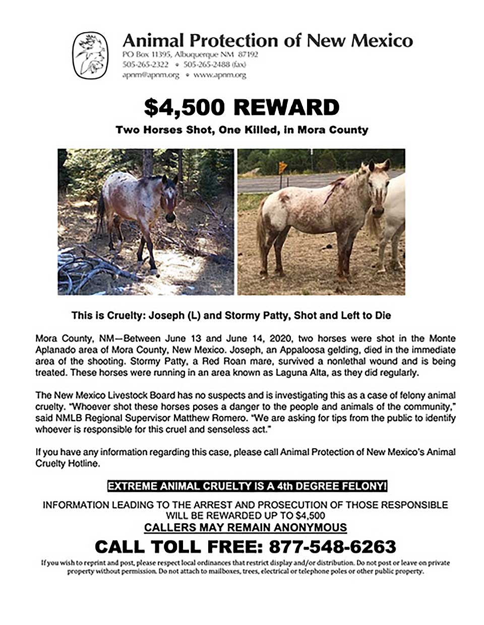 Two Horses Shot in Mora County, One Fatally; Animal Protection New Mexico  Offers Reward