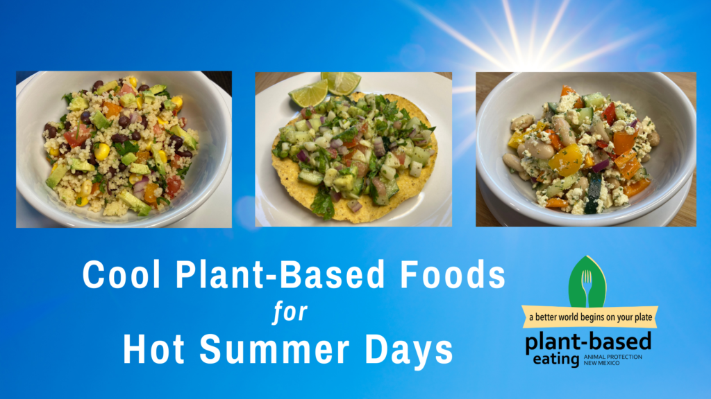 Cool Foods for Hot Days