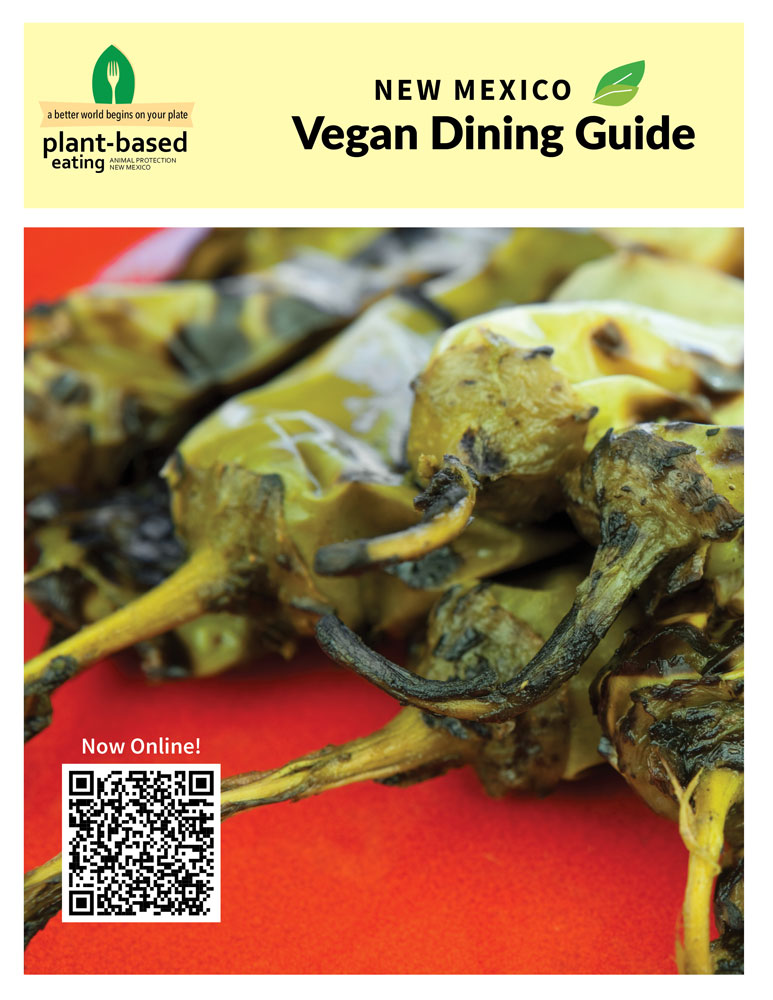 Our New Vegan for the Planet Guide is Out Now! - Viva!