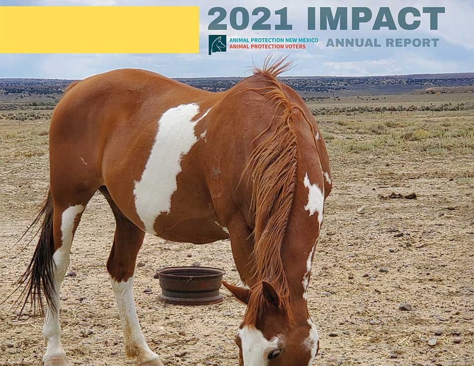 Animal Protection New Mexico 2021 Annual Report