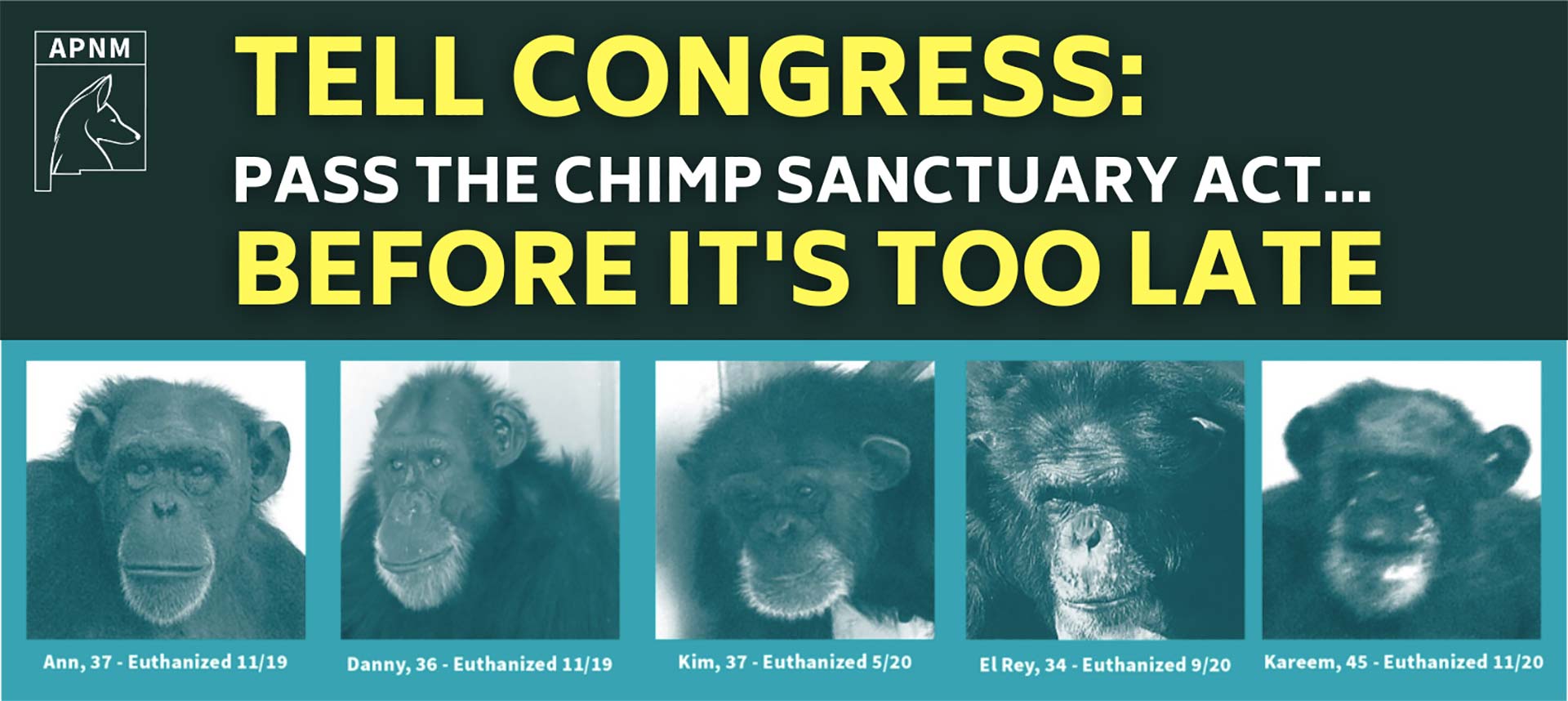 Chimps - Tell Congress Before It's Too Late