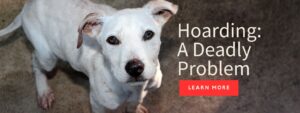 Animal Hoarding: A Deadly Problem