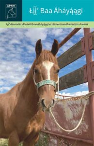Navajo Equine Care Guide 2024