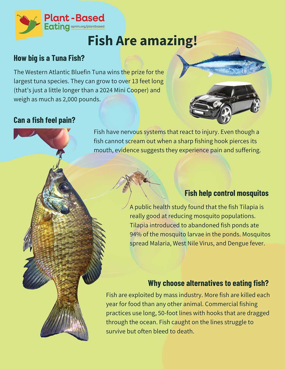The Amazing Fish Fact Sheet