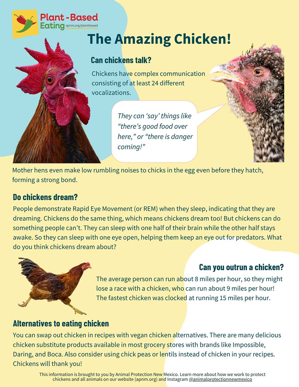 The Amazing Chicken Fact Sheet