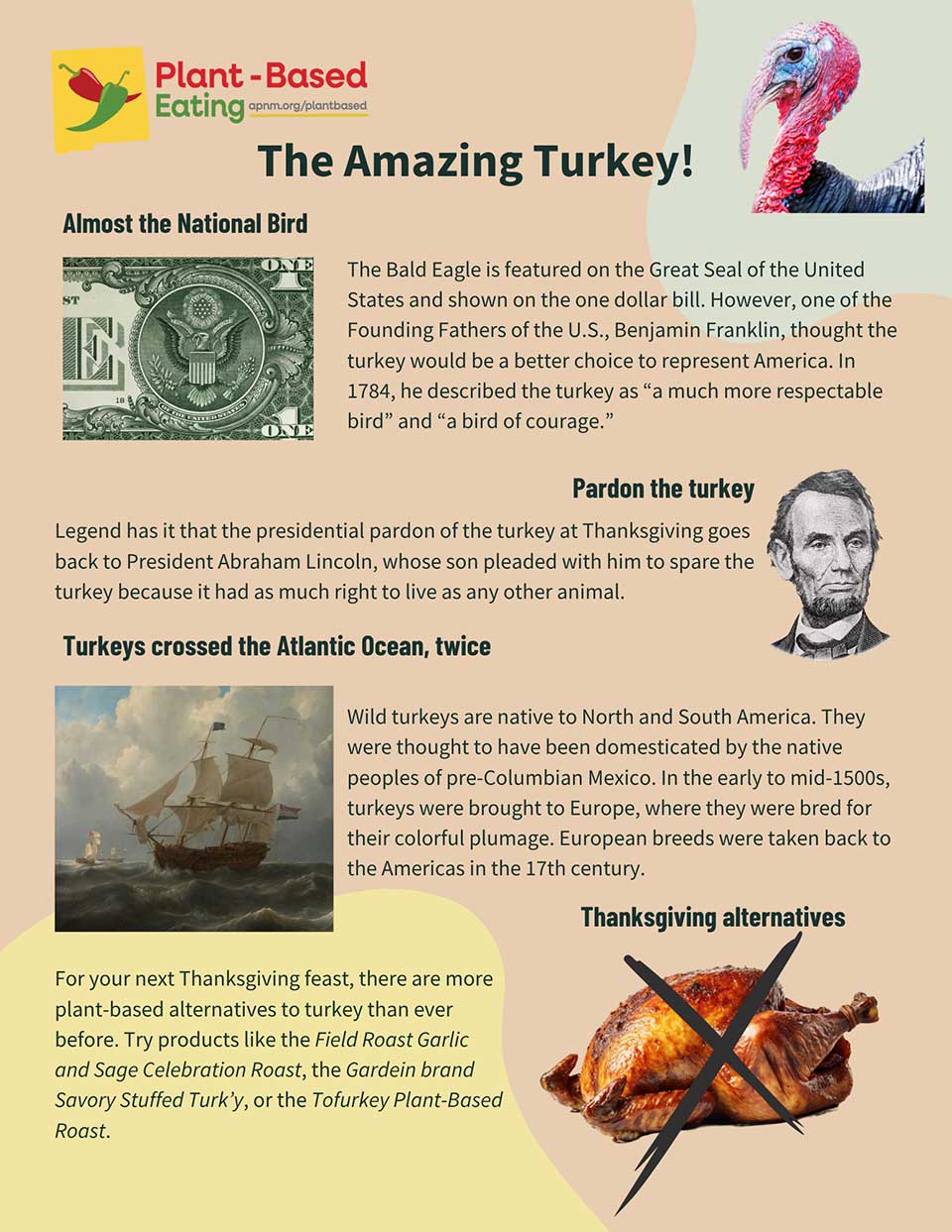 The Amazing Turkey Fact Sheet