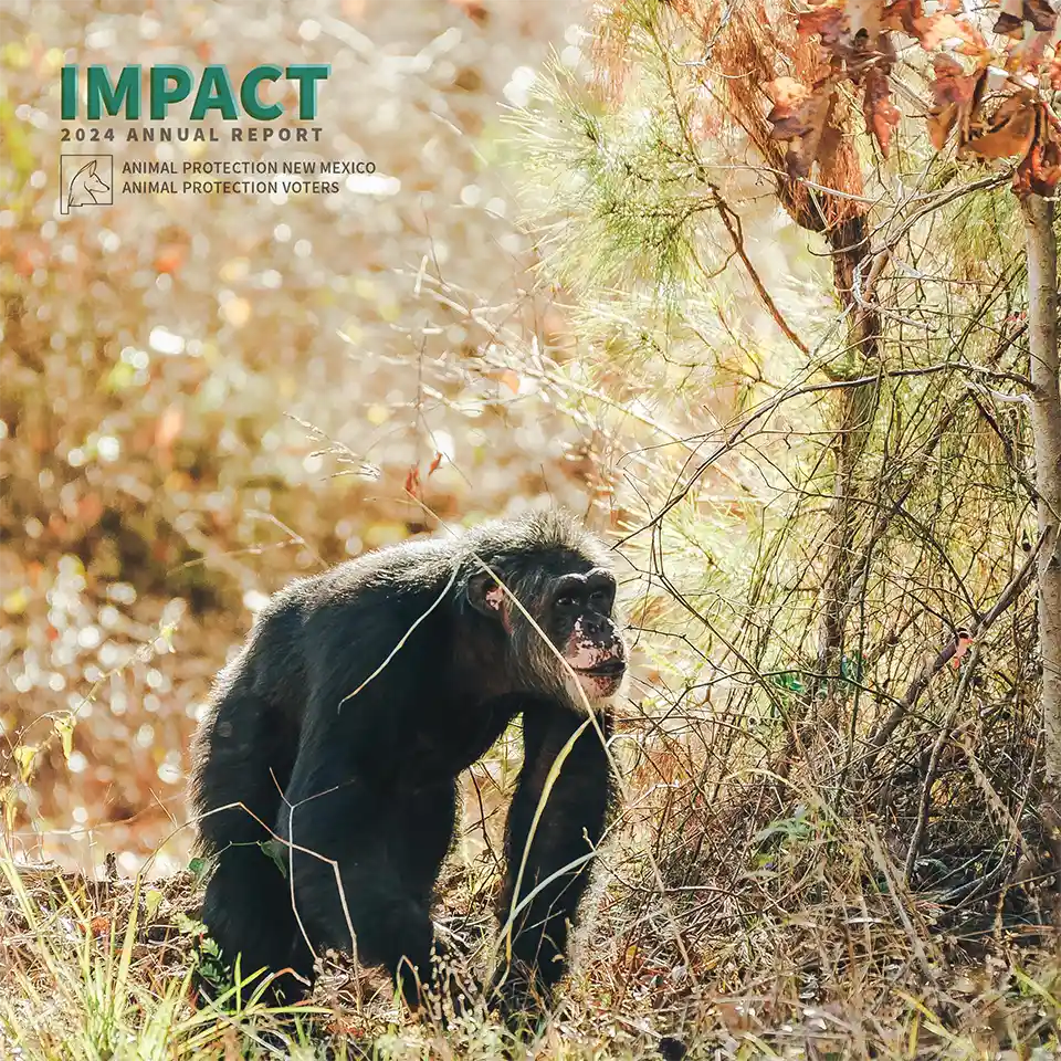 APNM 2024 Annual Report