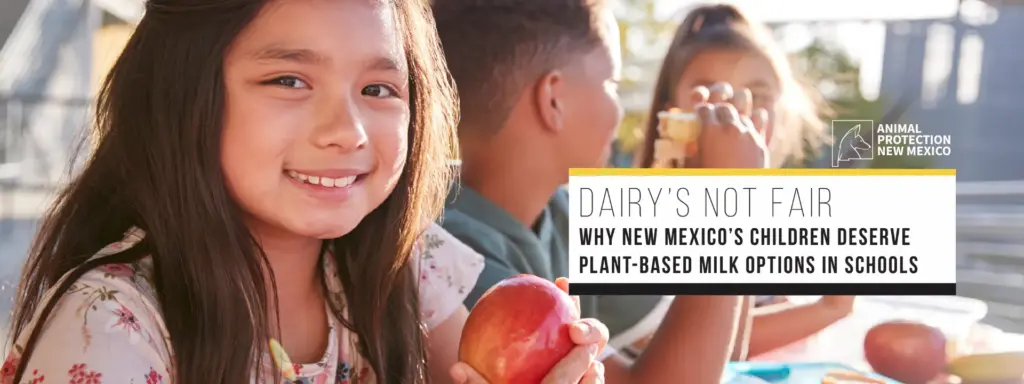 Press Release: Animal Protection New Mexico releases new report exposing the hidden cost of cow’s milk in schools