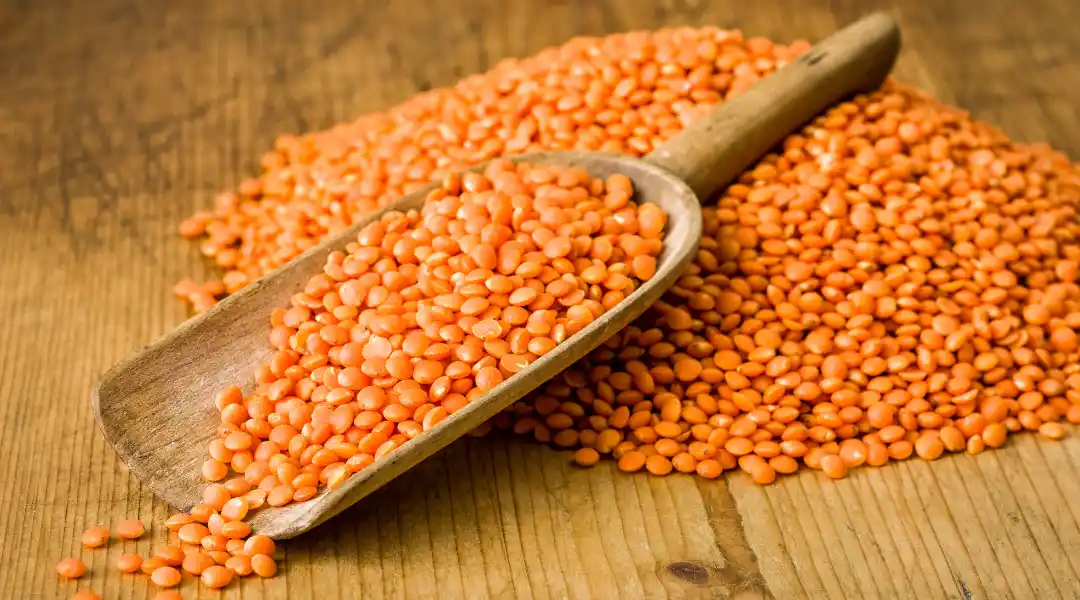 Lentils