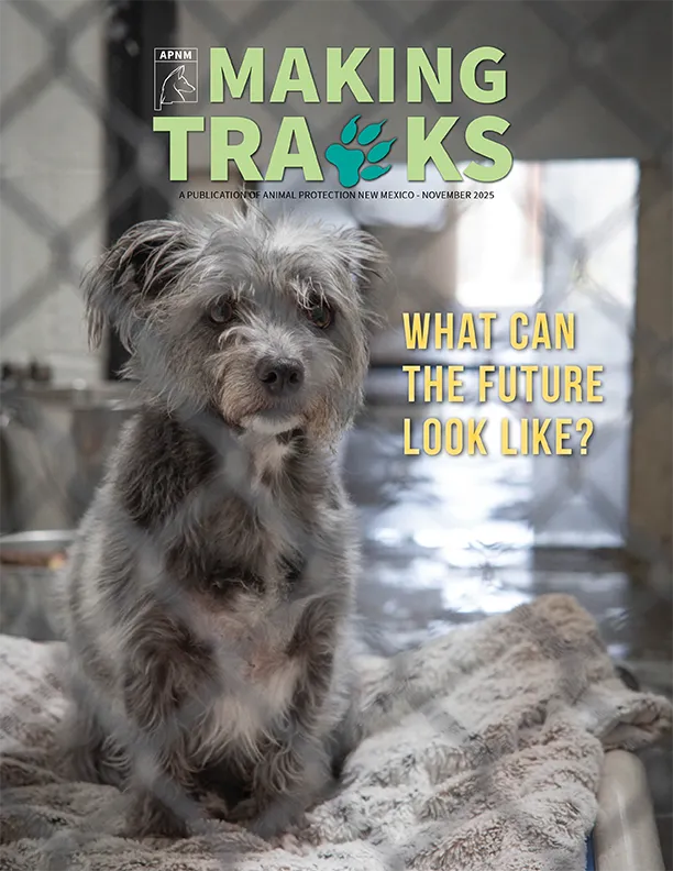 Making Tracks Magazine - November 2025