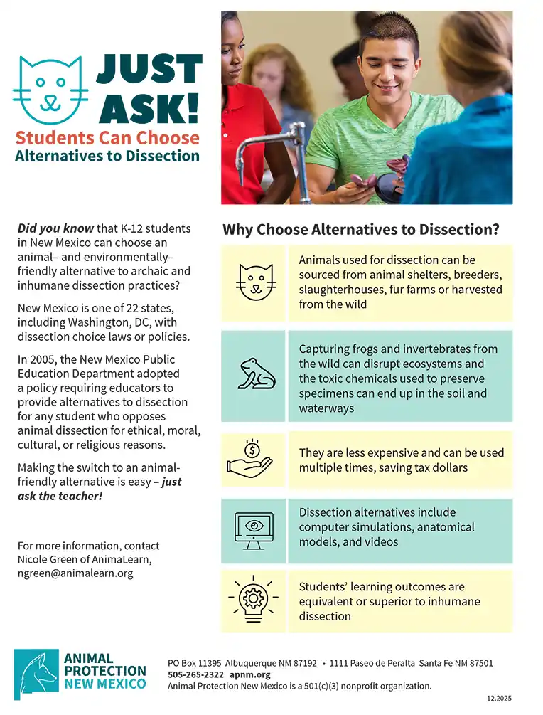 Dissection Choice Fact Sheet