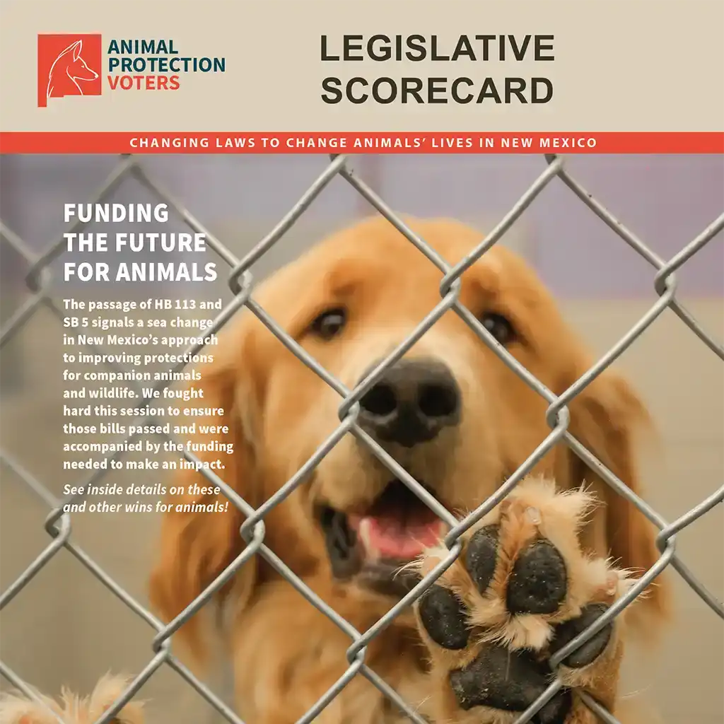 Animal Protection Voters