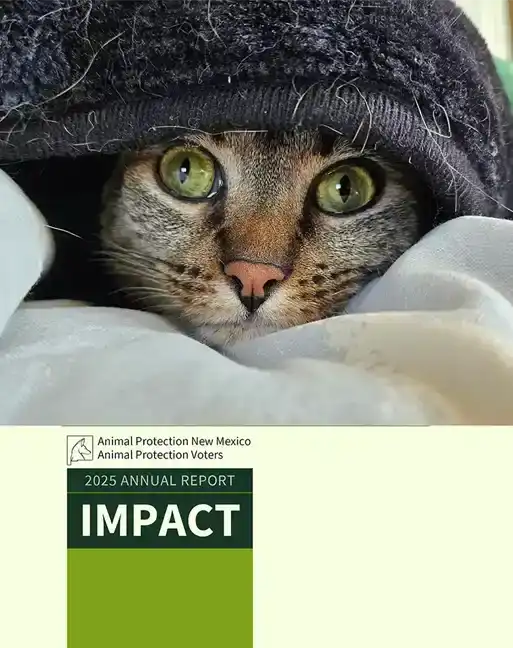 Animal Protection New Mexico 2025 Annual Report