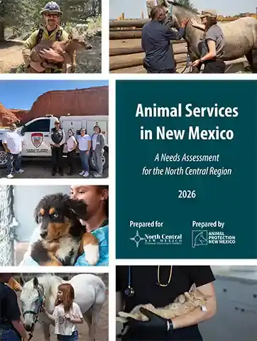 Animal Services in New Mexico - A Needs Assessment for the North Central Region 2026